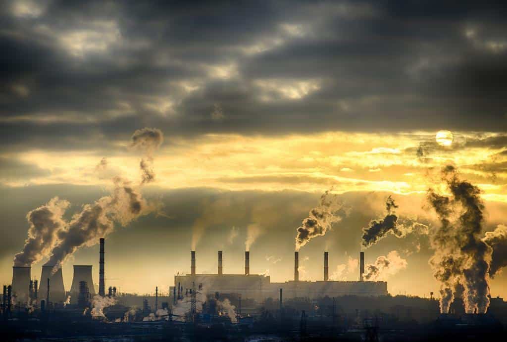 5 de junio, día internacional del ambiente